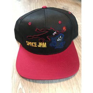 Vintage 1996 Deadstock Warner Brothers Space Jam Snapback Hat Michael Jordan